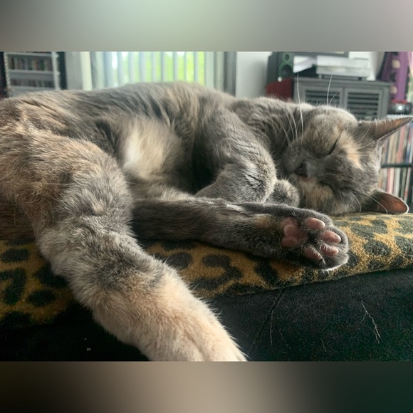 Get to know me! - Picture 2 of 2